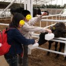 진주목장 이미지