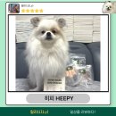 히피(HEEPY) 이미지