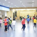 용인대블루드래곤태권도 이미지