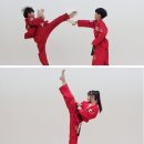 소명태권도 네이버블로그