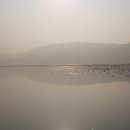 동방농장 이미지