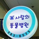 솔샘동물병원 이미지