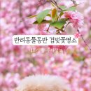 완산-124 이미지