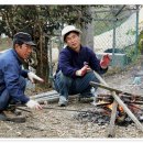 초천3리 이미지