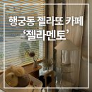904 | 행궁동 젤라또 카페추천 젤라멘토, 화성행궁 나들이 필수코스 내돈내산 후기