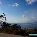 제주위미농협주유소 이미지