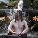 자연인 Daum카페