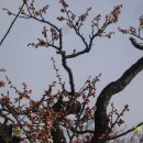 김해건설공업고등학교 이미지