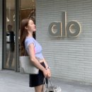 알로 요가 카카오 검색결과