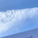 네일블룸(Nail Bloom) 이미지