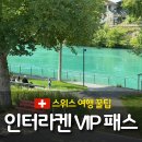 스위스 인터라켄 VIP 패스 구입 방법 및 혜택 | 스위스 여행 일정 추천, 컵라면 후기