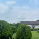 다온목장 이미지