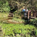 운곡생태습지길 2코스 이미지