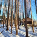 스톤크릭 이미지