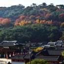 수원-1793 이미지