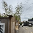 마전역 | 내돈내산 인천 마전역 완정역 당하동 감성카페 브런치카페 베이커리카페 추천 : 서원안길 후기