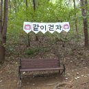 🌿 10월 25일 데일리 운동기록 춘천마라톤 하루 전, 설렘을 안고 단구둘레길 맨발 걷기