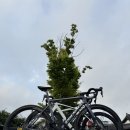 영수농장 | 추석 연휴 비 피해서 남쪽으로 서산 자전거 라이딩 투어링