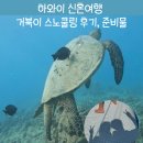 하와이 거북이 스노쿨링 찐 추천 후기, 스노쿨링 준비물 - 어썸트레블 하와이 신혼여행