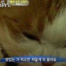 성산 농장 이미지