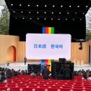 영어만 하던 구글 AI 바드, ‘제1외국어’로 한국어 선택 이미지