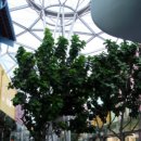 아가씨 둘이 댕긴 싱가폴! (with 사진) 1 이미지