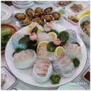 다미회집 | 안면도 리솜 아일랜드 근처 맛집 리솜리조트 픽업 다미횟집