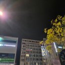죽이야기(세종병원점) | [출산후기] 대전 미즈제일여성병원 제왕절개 리얼후기 (입원부터 회복까지 총정리!)