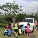 장미세차장 이미지