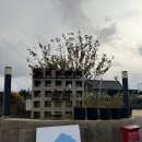 쉼 | 태안 풀빌라 추천ㅣ복층 독채 감성숙소 스테이숨쉼 후기