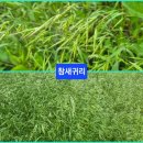 061-2 네이버블로그