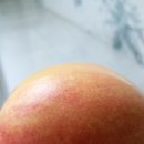 범곡2 Daum카페