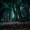 동화모텔 이미지