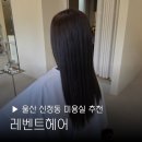 울산 신정동 미용실 레벤트헤어 염색 후기, 손상모 커트 톤정리 성공