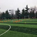 코이디아 이미지