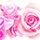 봉암동205 이미지