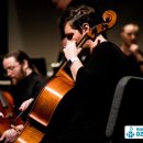 첼로 1:1 맞춤레슨 이미지