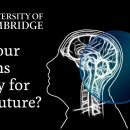 Brain health advice from aCambridge University neuroscientist 이미지