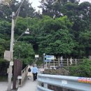 GS25호계반도점 | [부안 여행] 지금 가야 해! 변산반도 마실길 2코스 샤스타데이지 실시간 개화 상황 &amp; 주차 꿀팁