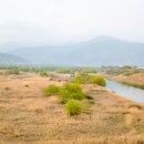 섬진강 침실습지 이미지