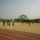 고령초교 이미지