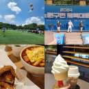 마들체육공원 | 노원구민 체육대회 참여 &amp; 동네 나들이 데이트 후기