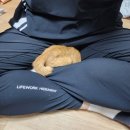 조재진동물병원 이미지