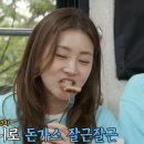 자유부인