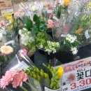 백조미니슈퍼