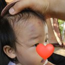 동강수제갈비 | (국내 여행) 동강전망 자연휴양림 오토캠핑장 / 14개월 아기와 2박 3일 후기 / 국내 은하수 보이는 곳