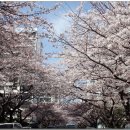 영남식육식당 이미지