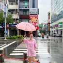 자연드림 용호점 | 대만 가오슝 여행 준비물 물가 3박4일 대만 자유여행 코스 경비