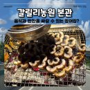 파주 맛집 갈릴리농원 | 장어 3kg 순삭하고 온 가족모임 솔직후기 웨이팅 & 준비물 꿀팁