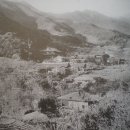 선덕유통